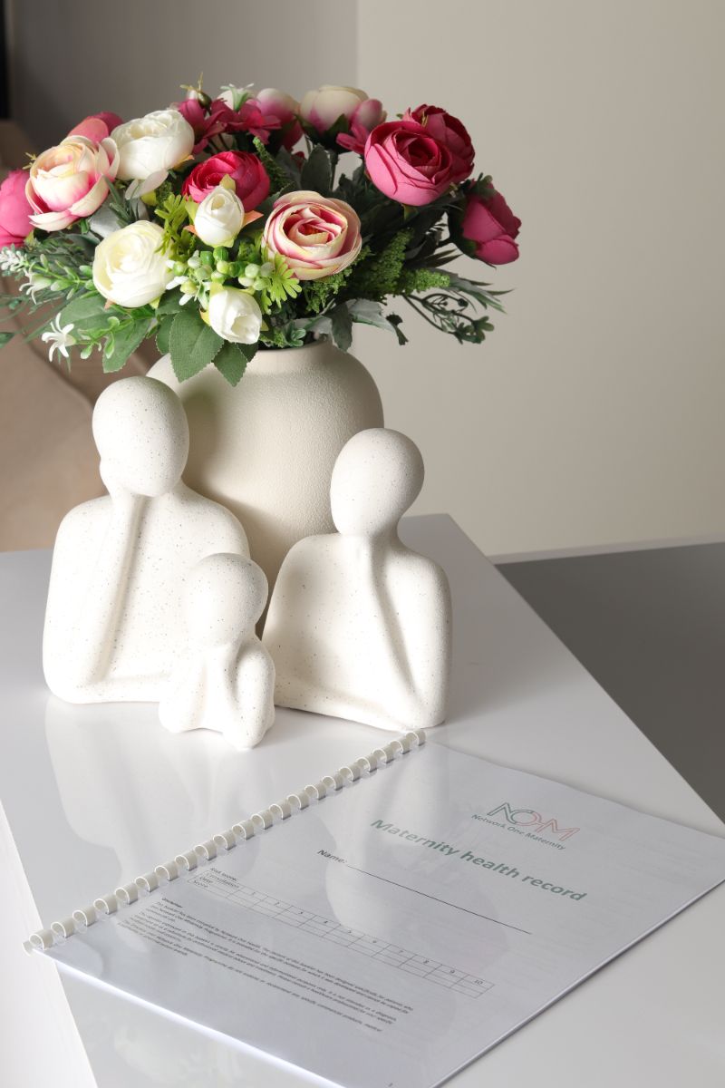 A Network One Maternity health record.